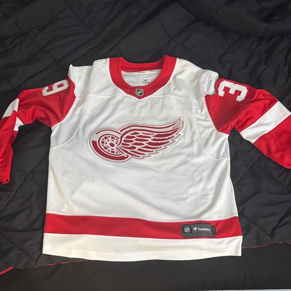 Fanatics Dominik Hasek Detroit Red Wings Hockey Jersey